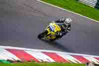 Yellow Bikes